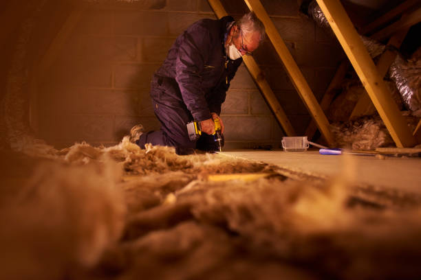 Best Batt and Roll Insulation  in Franklin, VA